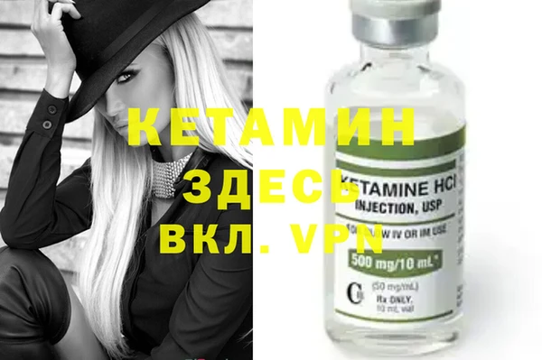 индика Каменногорск