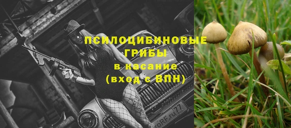 кристаллы Белокуриха