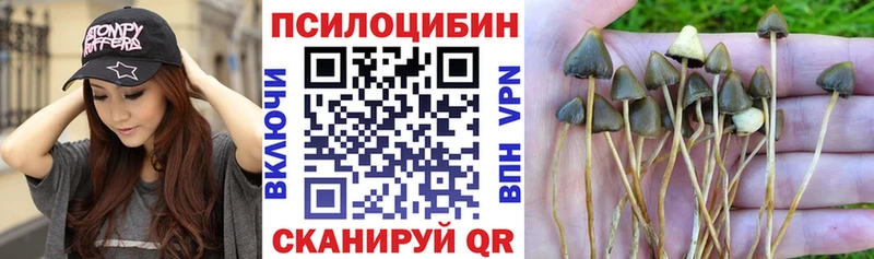 Галлюциногенные грибы ЛСД  KRAKEN как зайти  Краснокаменск 